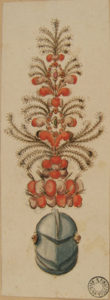 Elmo piumato
